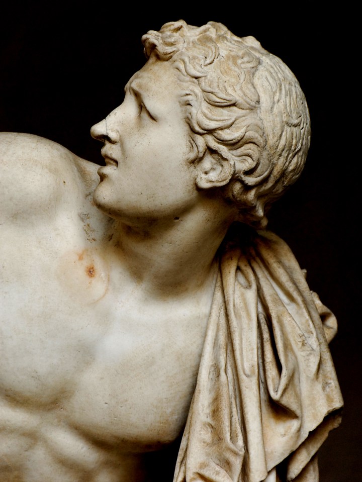 Laocoon_Pio-Clementino_Inv1059-1064-1067_n7