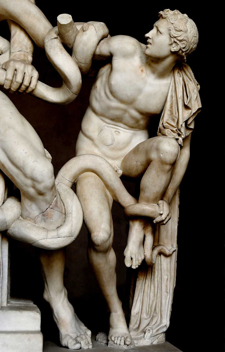 Laocoon_Pio-Clementino_Inv1059-1064-1067_n8