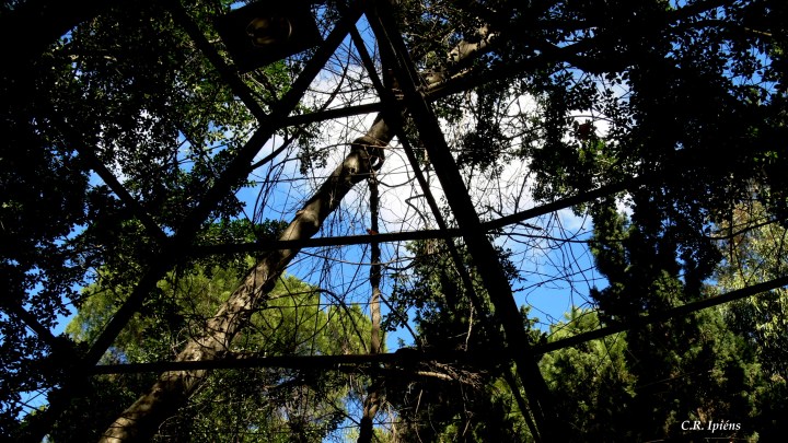 Techo del Cenador -26  de Enero 2013