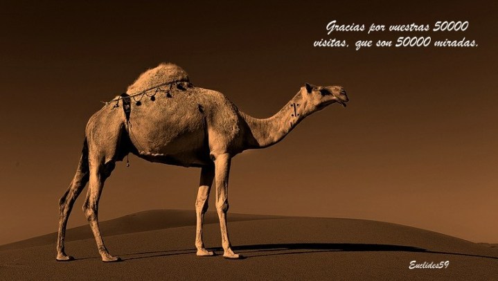 Mi más sincero agradecimiento a todos