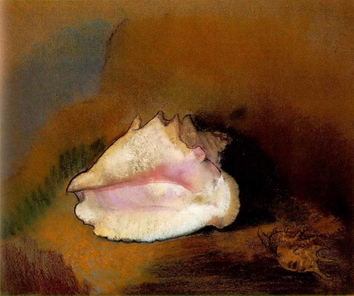 Redon.coquille