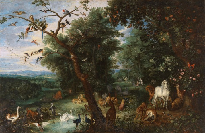 El Paraíso terrenal, Brueghel el Joven, Pieter Copia de Bruegel el Viejo, Pieter sala 8