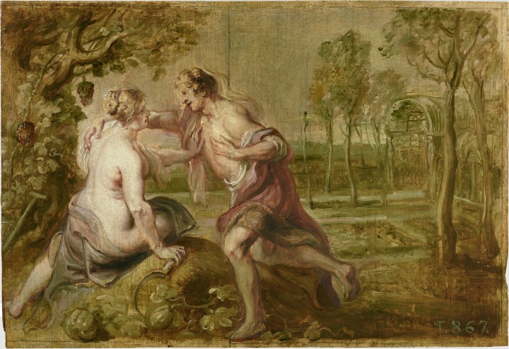 Vertumno y Pomona, Pedro Pablo Rubens sala 7