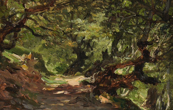 Bosque de hayas (Alsasua), Carlos de Haes