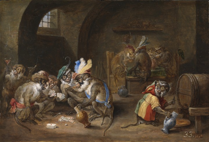 Monos en una bodega, David Teniers