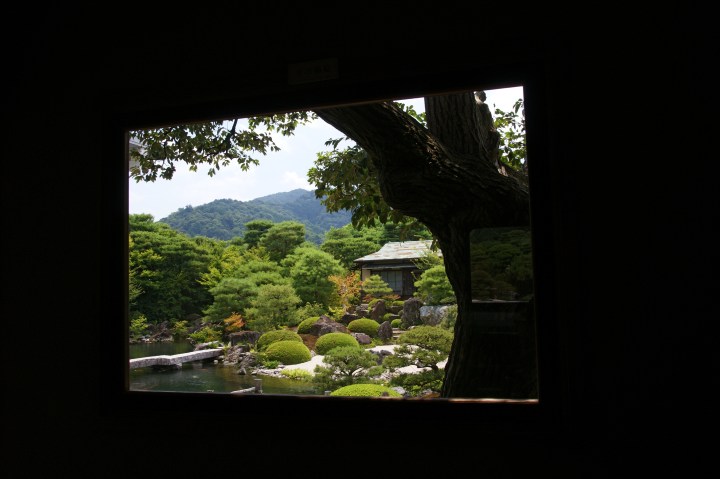 SONY DSC