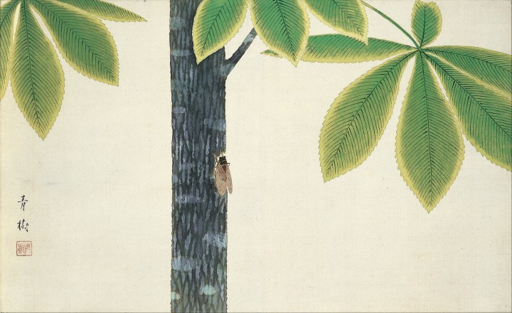 Omoda_Seiju_-_Cicada_-_Google_Art_Project