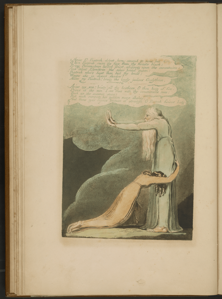 Lámina 10. "La plaga".