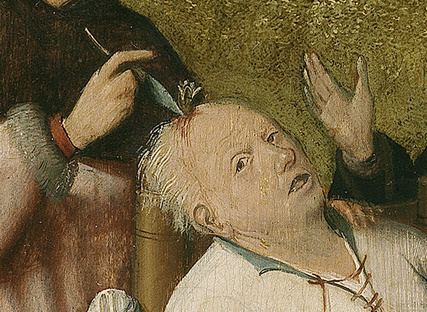 P02056extraacciónflor