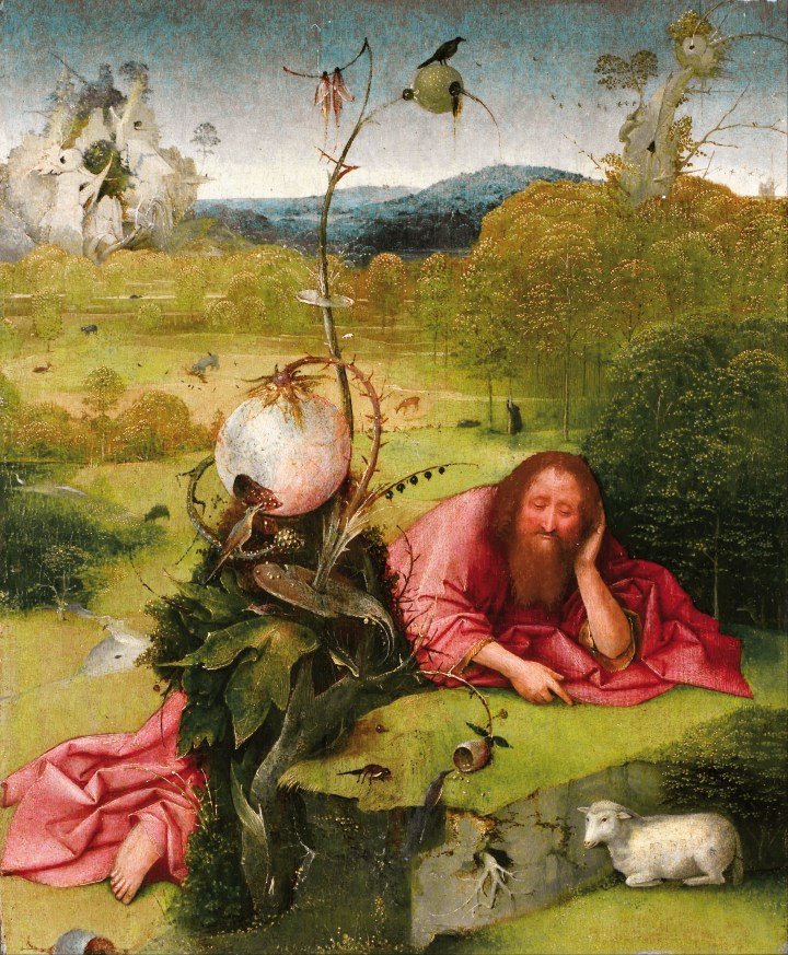 Hieronymus_Bosch_-_Saint_John_the_Baptist_in_the_Desert_-_Google_Art_Project