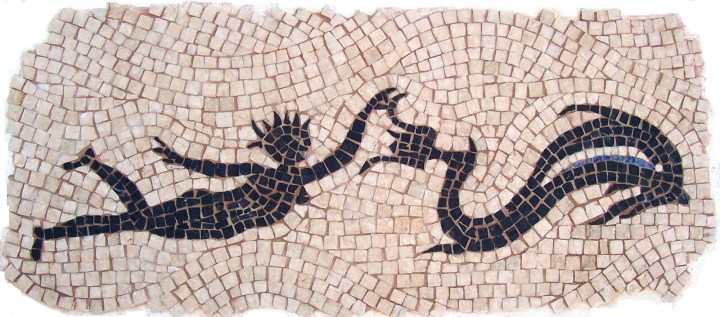 3- Nadadora Negra Marem Opus Mosaics blog