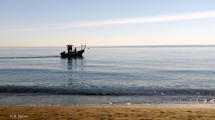 IMG_20160921_121603a