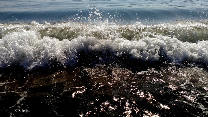 IMG_20160927_112545a