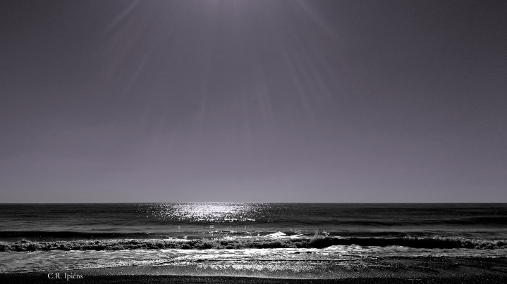 IMG_20160930_105334m