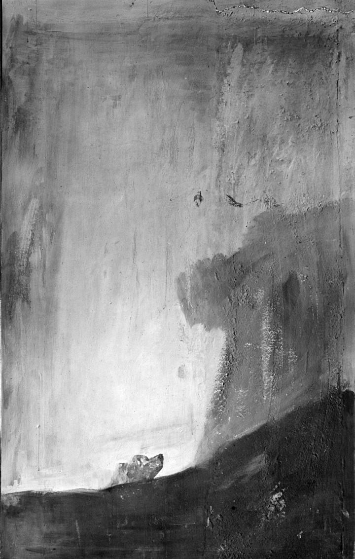 Perro_semihundido_(Juan_Laurent)_2 (1)