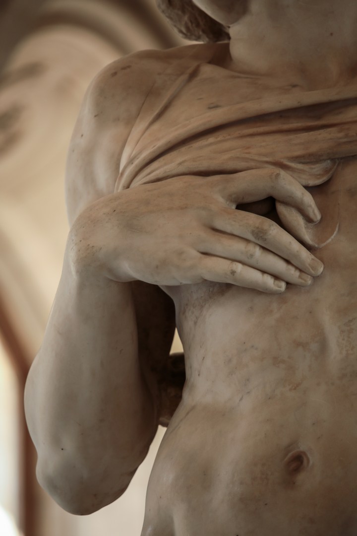 'Dying_Slave'_Michelangelo_JBU030