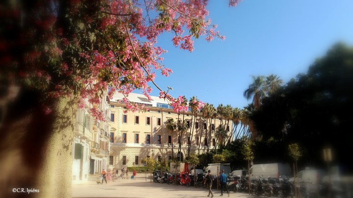 img_20171122_115531awww