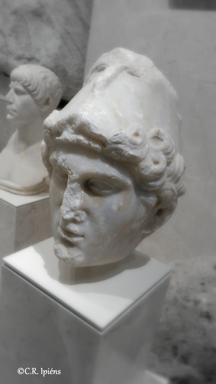 IMG_20171129_123328a