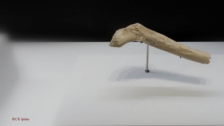 img_20171129_123933a