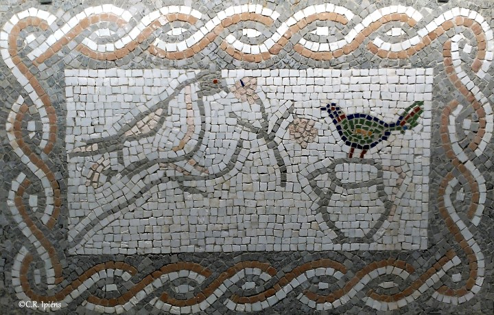 img_20171129_125544ab