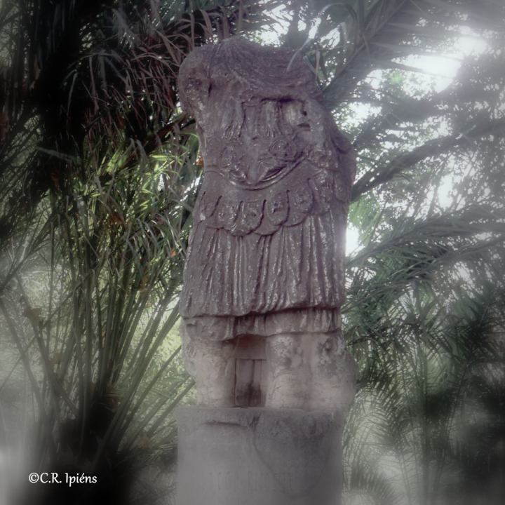 MMA_os_88(27)Thoracata_lg