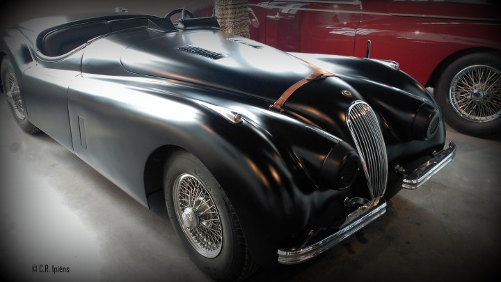 IMG_20180613_120648a