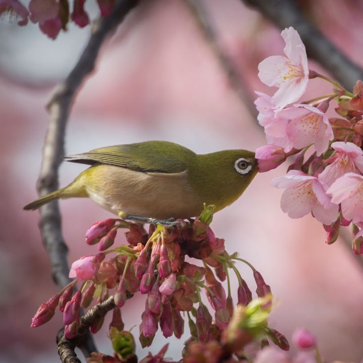 7D5C089F-9633-452F-8FA0-B0E9C6C7D498-59e3459a282b0-jpeg__880