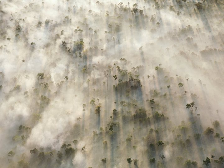 87050840el_cambio_climatico_es_una_realidad_1800x1350