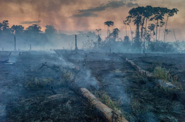 amazon-fires-slash-burn-western-amazon-13.adapt_.1900.1