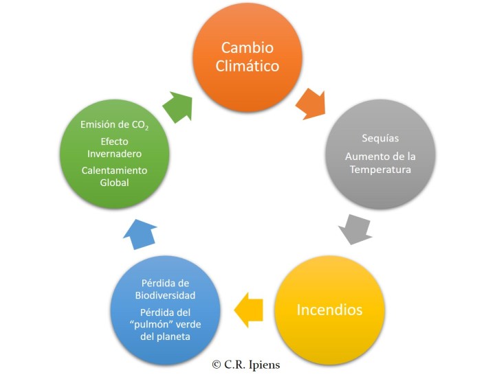 ciclo incendios