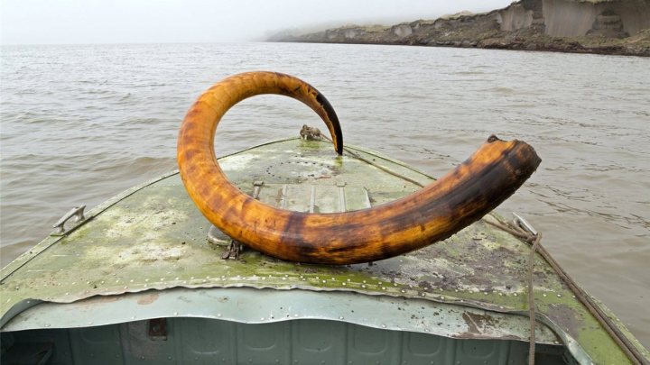 fondo02abril2013__1280x960r