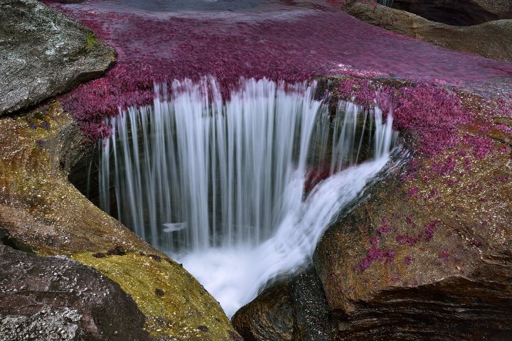 ogrunewald_cano_cristales_17_1800x1201