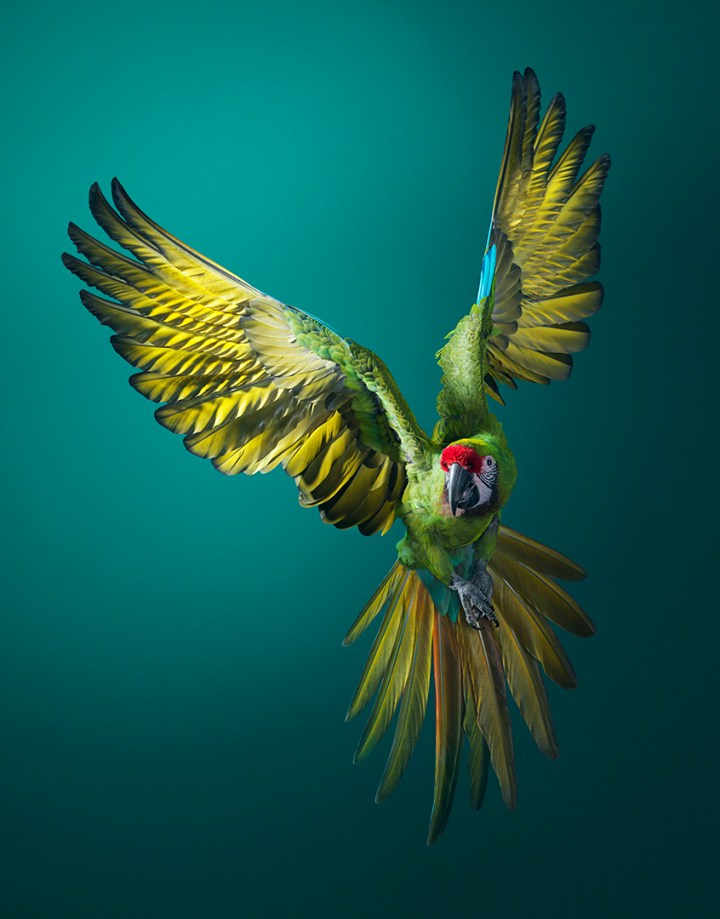 perdido-en-la-traduccion_fcf0f9d8