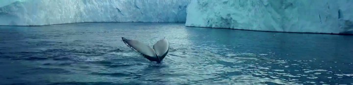 vlcsnap-2020-04-28-18h43m17s374r