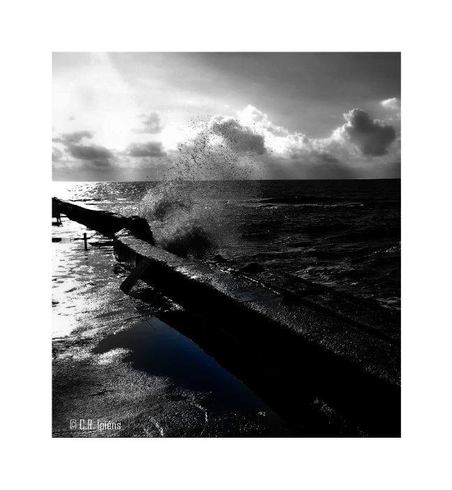 36308689_1592700287507764_7593377427707920384_n