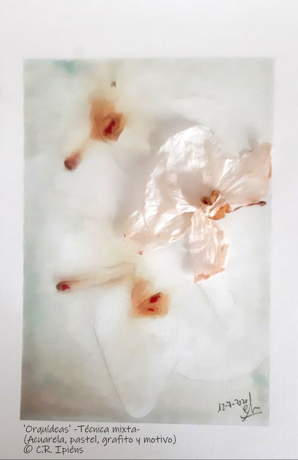 Orquideasmotivotexto